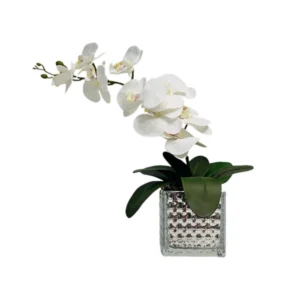 Arranjo Flores Orquídea Toque Real Com Vaso - 18