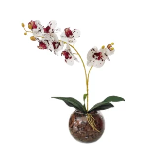 Arranjo De Flores Orquídea Artificial Vaso Terrário Cid