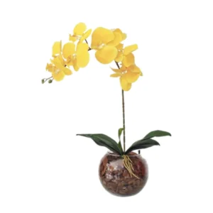 Arranjo De Flores Orquídea  Vaso Terrário Zéu