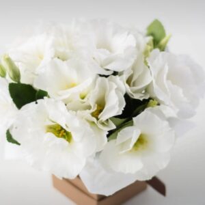 Arranjo Pequeno de Lisianthus